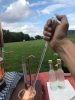 Pipetta - üveg, 10 ml-es, biztonsági változat