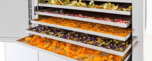 Nemesacél nagyüzemi aszalógép tálcák