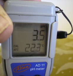 pH mérés digitális pH mérővel