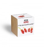 Peter Pepper, a pajzán chili paprika - ajándék növény fa kaspóval